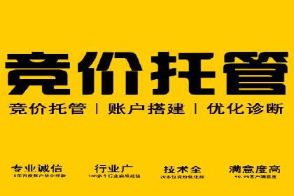 竞价托管全流程：某行业领军企业的成功经验